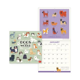Legami - 2027 Wall Calendar - Uncoated - 18 x 18 cm - Dogs of the World