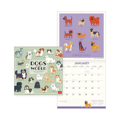 Legami - 2027 Wall Calendar - Uncoated - 18 x 18 cm - Dogs of the World