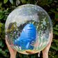 Legami - Inflatable Beach Ball - Shark