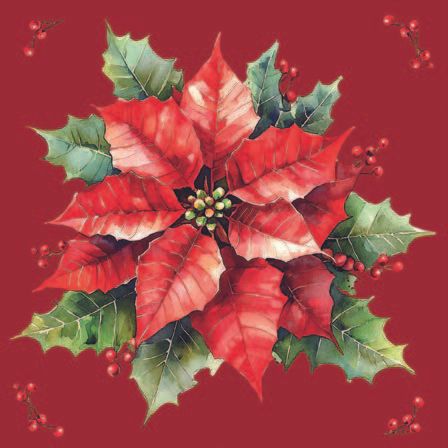 Ambiente - Paper Napkins Christmas - Pack of 20 - Luncheon Size - Festive Poinsettia - Red