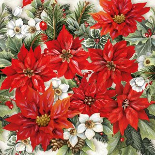 Ambiente - Paper Napkins Christmas - Pack of 20 - Luncheon Size - Poinsettia All Over