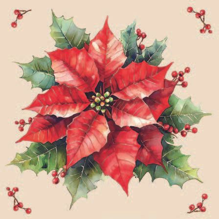 Ambiente - Paper Napkins Christmas - Pack of 20 - Luncheon Size - Festive Poinsettia - Cream