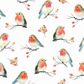 Ambiente - Paper Napkins Christmas - Pack of 20 - Luncheon Size - Robin Family
