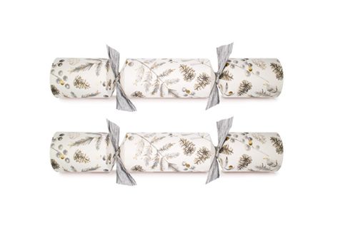 Celebration Crackers - Catering Crackers - 12 Inch - Silver Botanical - Carton of 50