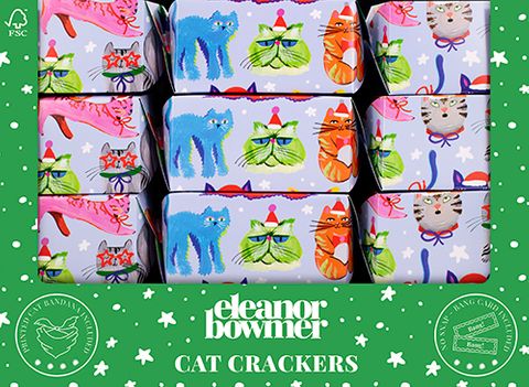 Eleanor Bowmer - Pet Crackers - 13 Inch - Cat - Retail Display Unit of 24 Pieces