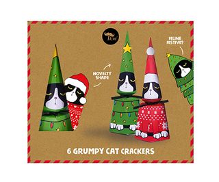 Tache - Luxury Crackers - 8.5 Inch - Grumpy Cat - Set of 6