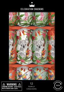Celebration Crackers - Family Cube - 12 Inch - Tropical Koala - Set of 12