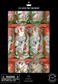 Celebration Crackers - Family Cube - 12 Inch - Tropical Koala - Set of 12