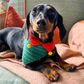 Talking Tables - Crocheted Pet Bandana - Botanical Holly