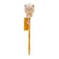 Legami - Squishy Pencil - Squeezies - Teddy Bear
