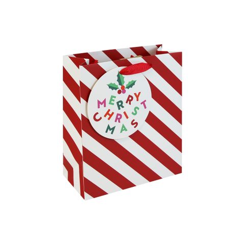 Eurowrap - Candy Cane - Medium Gift Bag