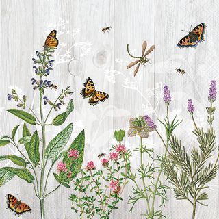 Ambiente - Paper Napkins - Pack of 20 - Luncheon Size - Herb Garden
