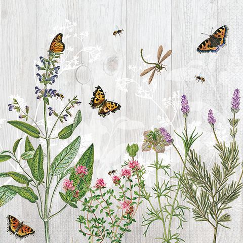 Ambiente - Paper Napkins - Pack of 20 - Luncheon Size - Herb Garden