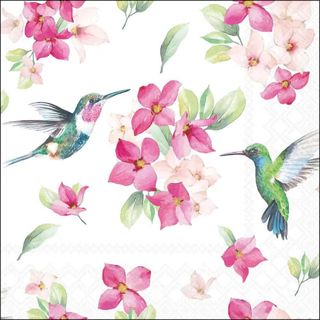 Ambiente - Paper Napkins - Pack of 20 - Luncheon Size - Diligent Hummingbirds - White