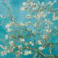 Ambiente - Paper Napkins - Pack of 20 - Luncheon Size - Almond Blossom