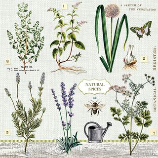 Ambiente - Paper Napkins - Pack of 20 - Luncheon Size - Herbs Garden