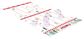 Foxy - Novelty Crackers - 12 Inch - Polar Racing Game - Set of 6