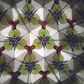 Legami - Kaleidoscope - Unicorn (Ships as Pk of 9 - KALKIT1)
