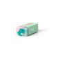 Legami - Scented Eraser - Jelly Friends - Dino (ships as a Pk of 36 - GPKIT3)