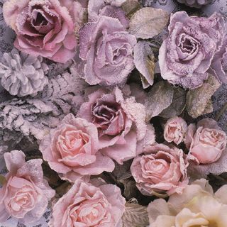 Ambiente - Paper Napkins - Pack of 20 - Luncheon Size - Winter Roses