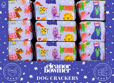 Eleanor Bowmer - Pet Crackers - 13 Inch - Dog - Retail Display Unit of 24 Pieces
