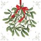 Ambiente - Paper Napkins Christmas - Pack of 20 - Luncheon Size - Mistletoe With Bow White