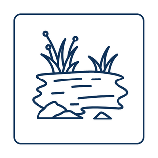 Pond & Accessories