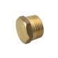 Brass Hex Plug 50mm
