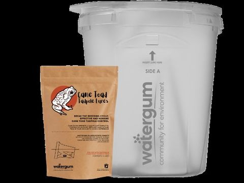Cane toad tadpole trap c/w bucket & lid