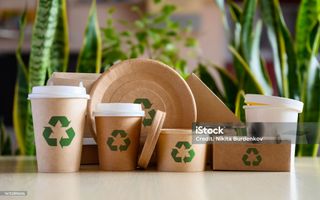 Takeaway Containers