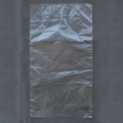 LDPE Poly Bag 450x250