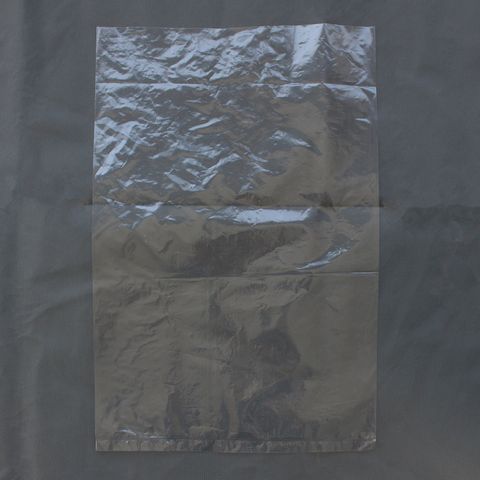 LDPE Poly Bag 460x300