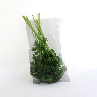 Poly Prop Bags