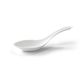 Sugarcane Chinese Soup Spoon ctn /1000   pk/100