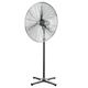 Pedestal Fans