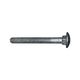 Cup Head Bolt - Galvanised