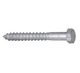 Coach Screws - Galvanised