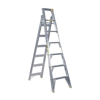 2.1m/3.8m Dual Purpose & Ext Ladder