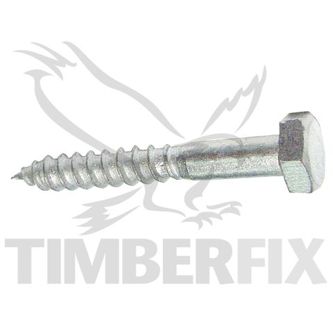 M8 x 50mm Galvanised Coach Screws