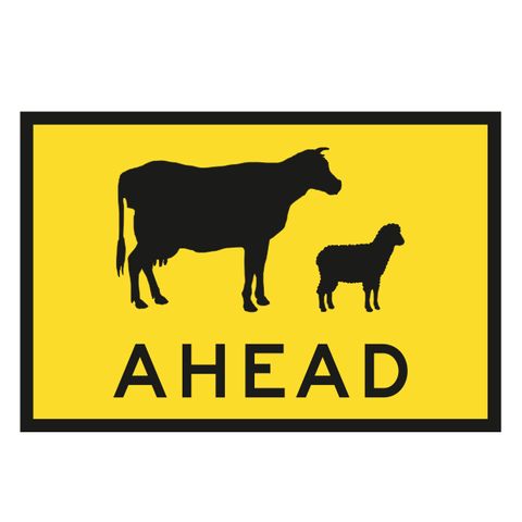 Cows Ahead Picture Sign - Aluminium - Class 1 Reflective - 900mm x 600mm