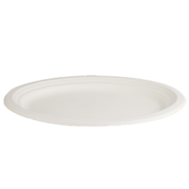 12.5" Paper Dinner Plate Pk25