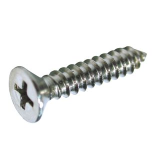 10g x 60mm (2-3/8') (2-1/2') Stainless CSK PH2 Self Tappers