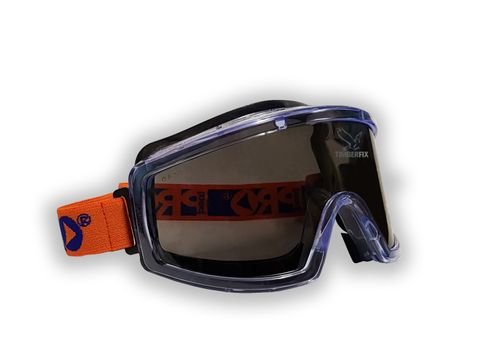 Tinted Goggles
