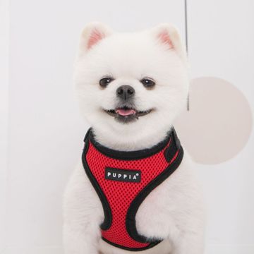 Puppia jacket harness best sale