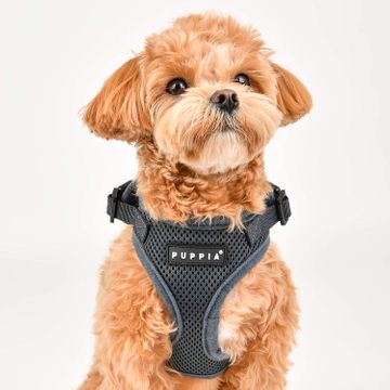 Puppia superior harness best sale