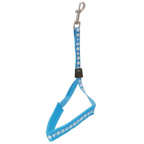 Groom Professional Amzi Pro Noose Plastic Locking Slider Pad