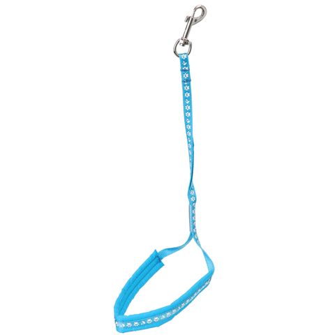 Groom Professional Allon Padded Basic Noose Blue Paw 45cm