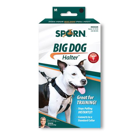 Sporn Big Dog Halter Black Med