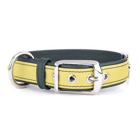 My Family Firenze Leather Collar Lime Xlge