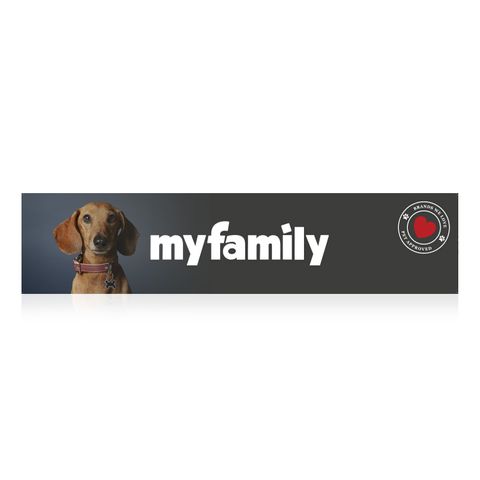 Brands We Love Header Card - My Family